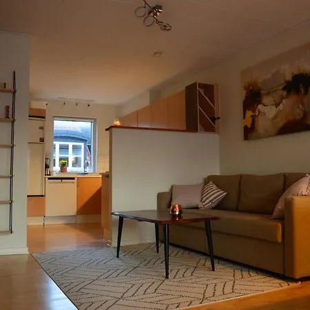 Charming In The Center Of Appartement Herning