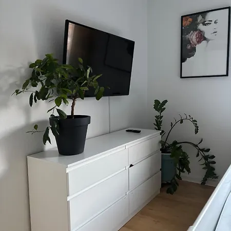 Charming In The Center Of Appartement *