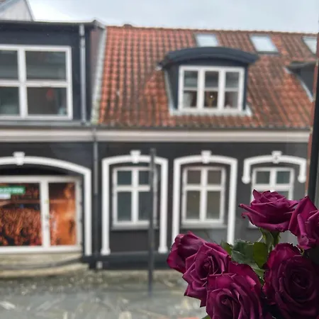 Appartement Charming In The Center Of Herning